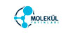 Molekül - Sağlam Yayınları Online Sınav